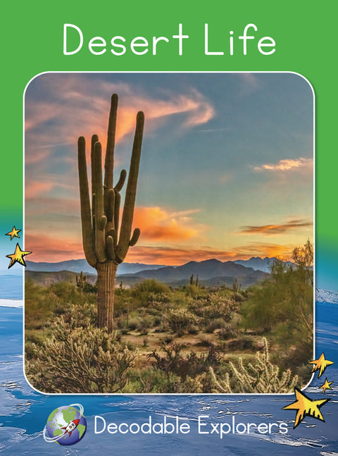 Desert Life: Fluency Launch by Holden, Pam