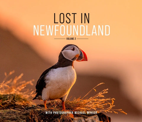 Lost in Newfoundland: Volume 2