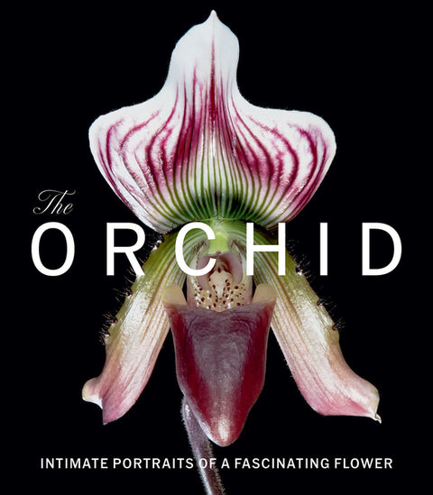 The Orchid: Intimate Portraits of a Fascinating Flower by Berry, David