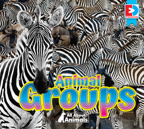 All about Animals - Animal Groups by Koran, Maria