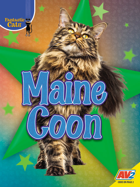 Maine Coon by Kissock, Heather