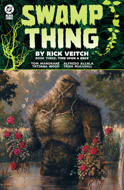 Swamp Thing by Rick Veitch Book Three: Time Upon a Once by Veitch, Rick
