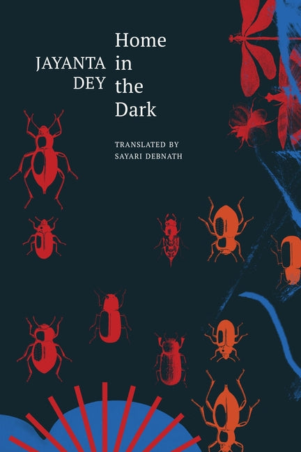 Home in the Dark: Selected Stories