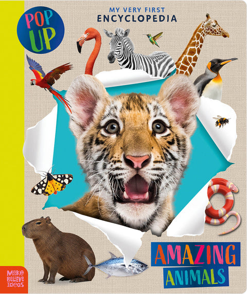 Amazing Animals