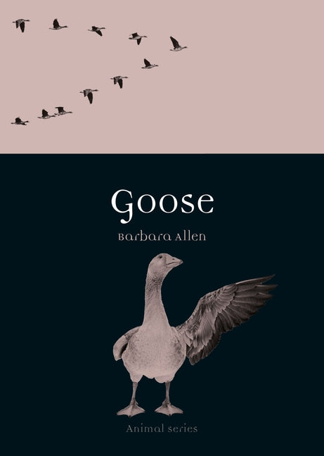Goose by Allen, Barbara
