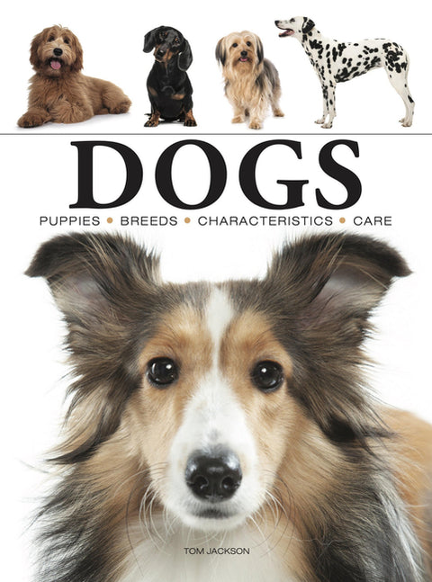 Dogs: A Celebration of Our Canine Friends