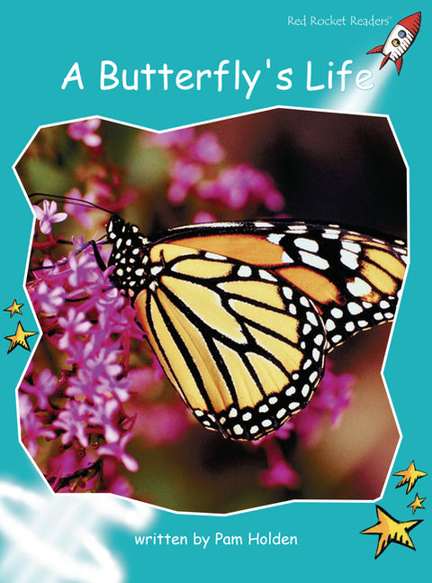 A Butterfly's Life by Holden, Pam