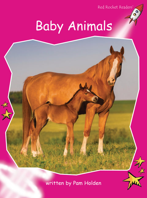 Baby Animals