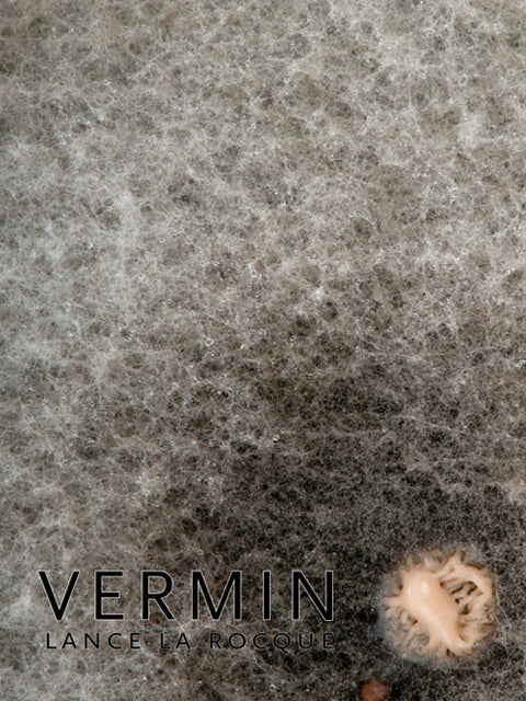Vermin by La Rocque, Lance