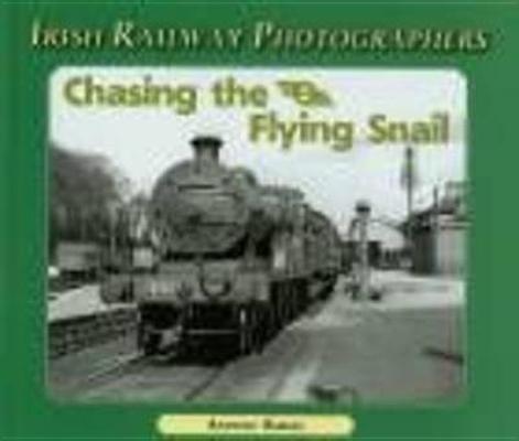 Chasing the Flying Snail by Burges, Anthony