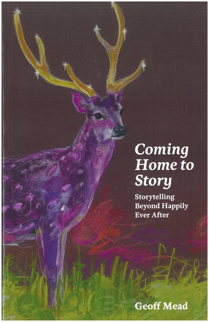 Coming Home to Story: Storytelling Beyond Happily Ever After by Mead, Geoff