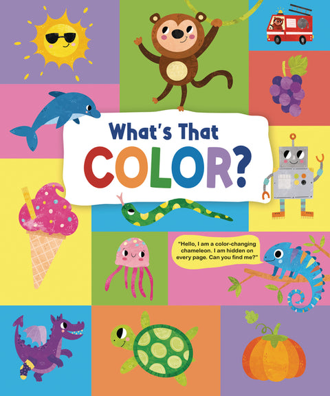What's That Color?: Explore the Wonderful World of Colors