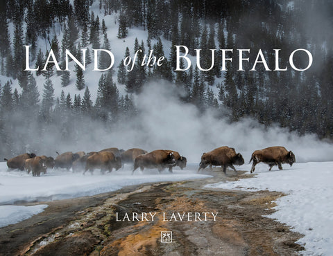 Land of the Buffalo by Laverty, Larry