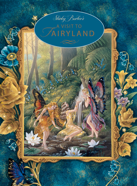 A Visit to Fairyland by Barber, Shirley