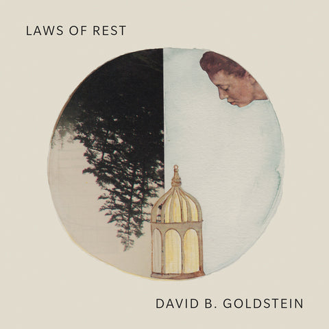 Laws of Rest by Goldstein, David B.