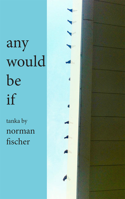 Any Would Be If