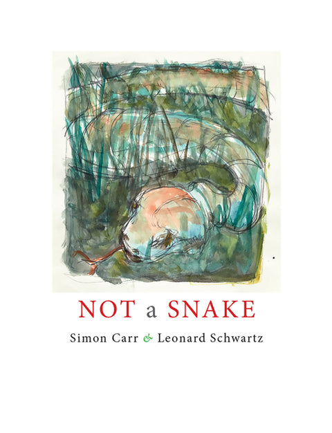 Not a Snake by Carr, Simon