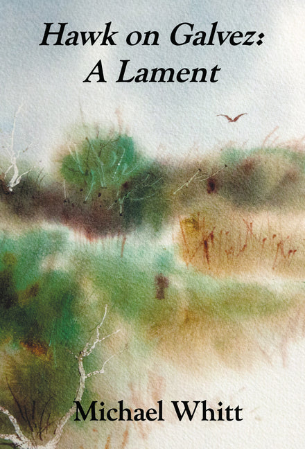 Hawk on Galvez: A Lament