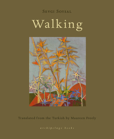 Walking by Soysal, Sevgi