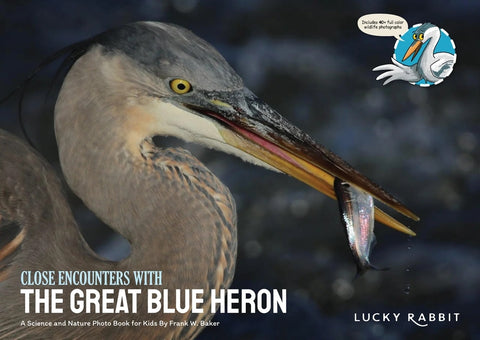 Close Encounters with the Great Blue Heron by Baker, Frank W.