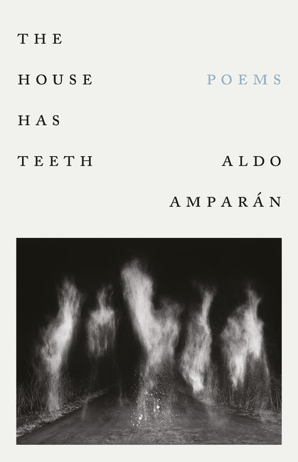 The House Has Teeth by AmparÃ¡n, Aldo