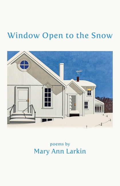 Window Open to the Snow
