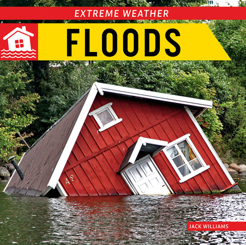 Floods by Williams, Jack