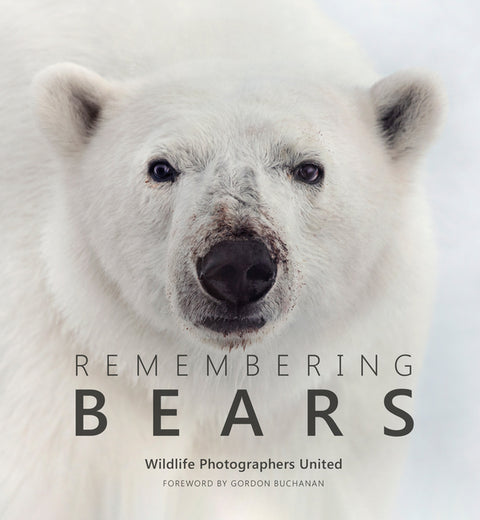 Remembering Bears by Raggett Mbe, Margot