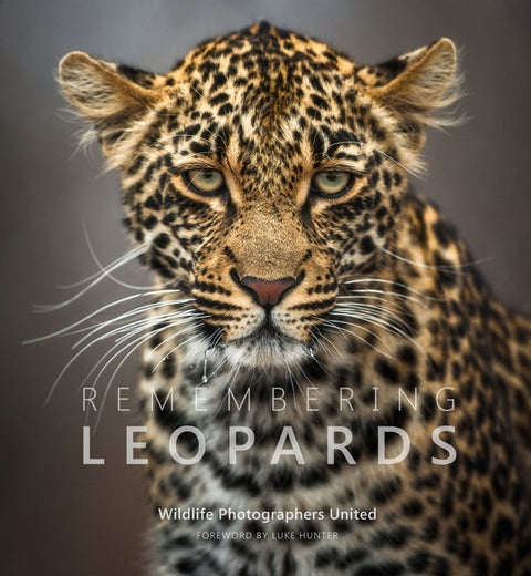 Remembering Leopards by Raggett Mbe, Margot