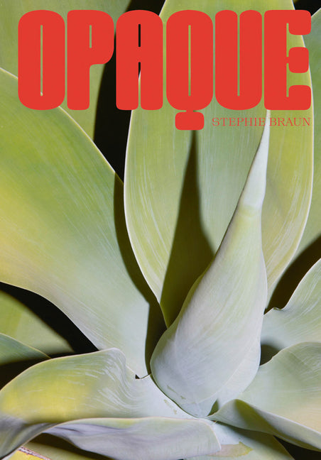 Stephie Braun: Opaque