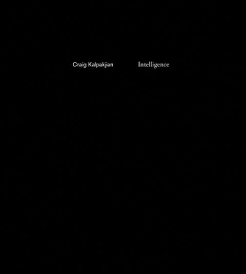 Intelligence by Kalpakjian, Craig