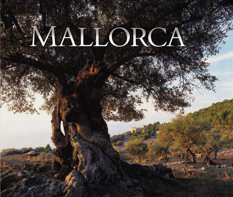 Mallorca: Neil Austen