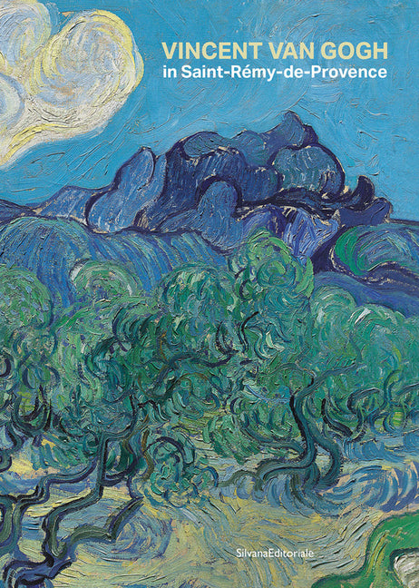 Vincent Van Gogh in Saint-Rémy-De-Provence by Van Gogh, Vincent