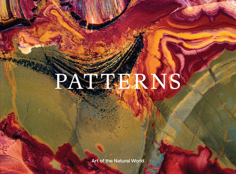 Jon McCormack: Patterns: Art of the Natural World