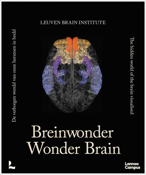 Wonder Brain by Vandenbulcke, Mathieu