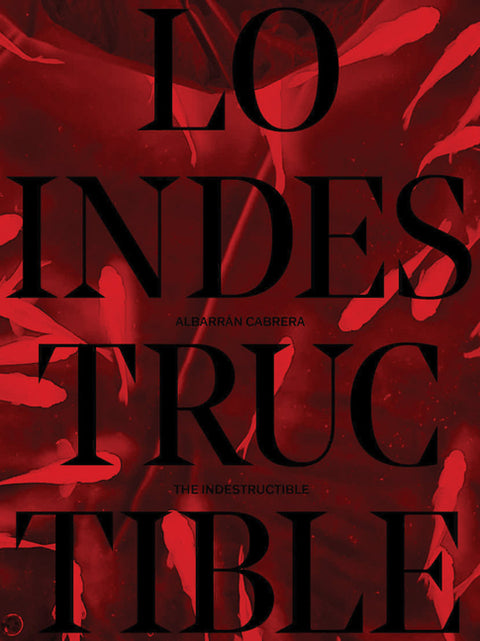 Albarrán Cabrera: The Indestructible: Artist's Notebook