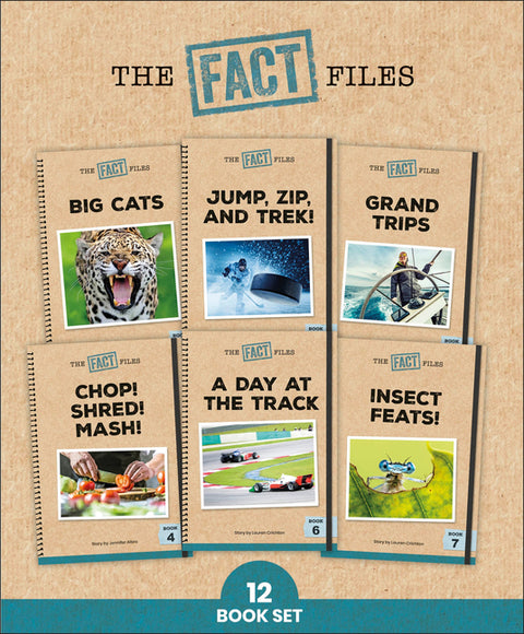 Phonic Books the Fact Files 2: Consonant Blends and Digraphs, and Alternative Spellings for Vowel Sounds