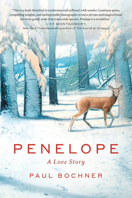 Penelope: A Love Story by Bochner, Paul