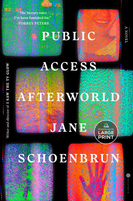 Public Access Afterworld by Schoenbrun, Jane