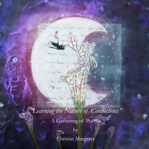 "Learning the Nature of Connections"