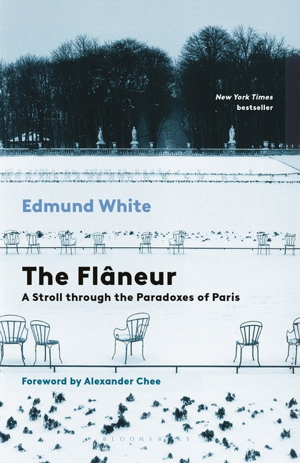 The Flaneur: A Stroll Through the Paradoxes of Paris by White, Edmund