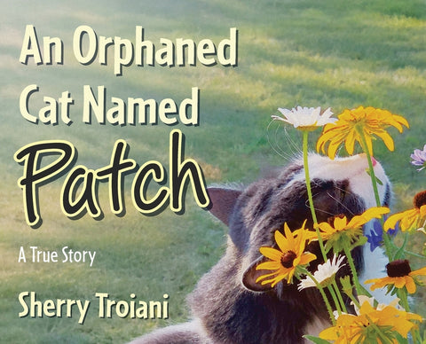 An Orphaned Cat Named Patch: A True Story by Troiani, Sherry