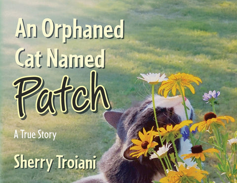 An Orphaned Cat Named Patch: A True Story by Troiani, Sherry