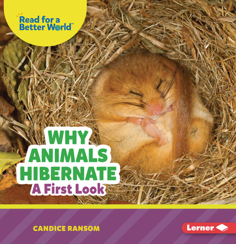 Why Animals Hibernate: A First Look