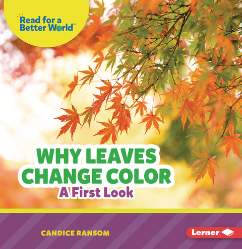Why Leaves Change Color: A First Look