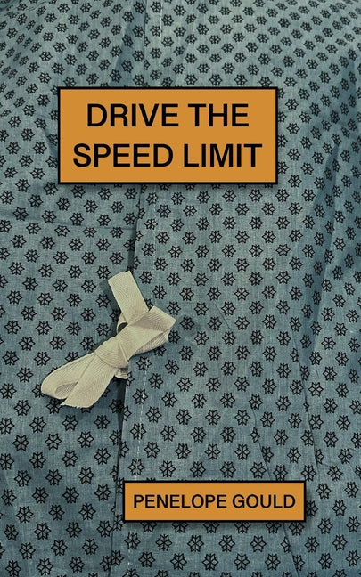 Drive the Speed Limit by Gould, Penelope