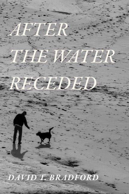 After the Water Receded