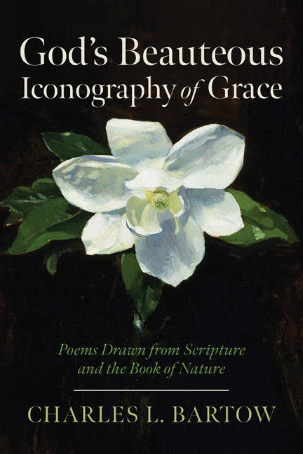 God's Beauteous Iconography of Grace