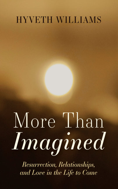 More Than Imagined by Williams, Hyveth