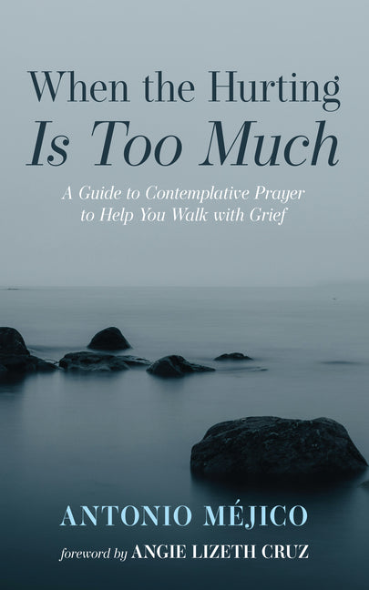 When the Hurting Is Too Much: A Guide to Contemplative Prayer to Help You Walk with Grief